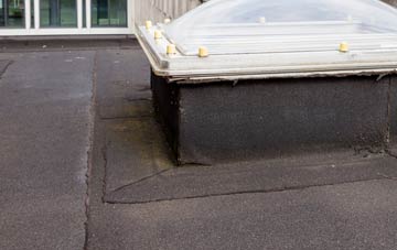 disadvantages of Winterborne Whitechurch flat roofs