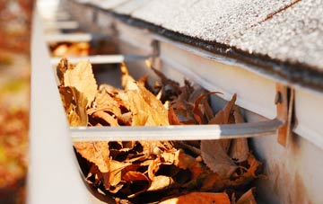 Winterborne Whitechurch gutter cleaning companies