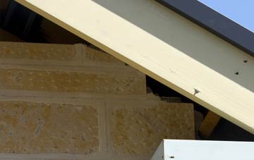 soffit repair Winterborne Whitechurch