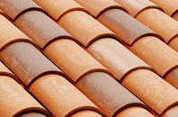 Winterborne Whitechurch clay roofing