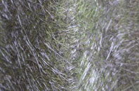 Winterborne Whitechurch fibreglass roof work